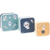 Pandas in Space